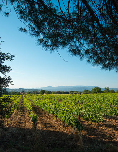 Parcelle : POUDRIÈRE