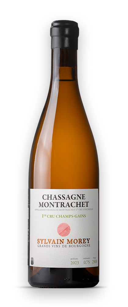 Bouteille Sylvain Morey Bourgogne 1er Cru Champs Gains Blanc