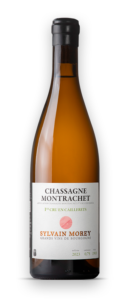 Bouteille Sylvain Morey Bourgogne 1er Cru En Caillerets Blanc