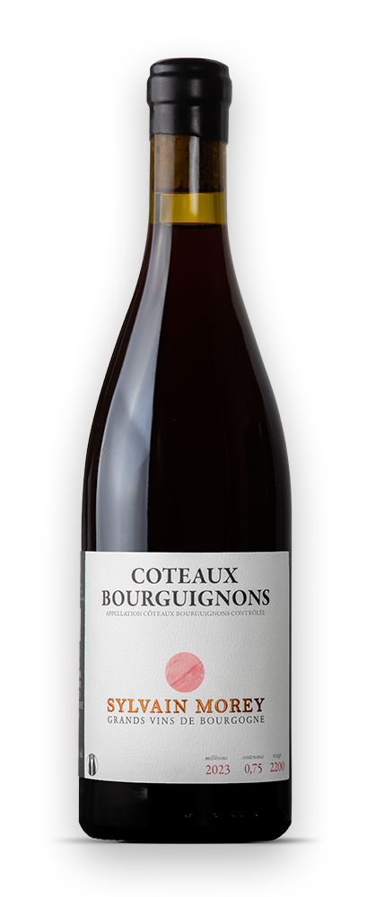Bouteille Sylvain Morey Coteaux Bourguignons